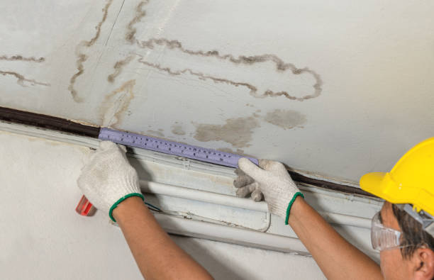 Reliable Basement Flood Cleanup contractor in Stony Point, MI by Aqua Guard Water Damage